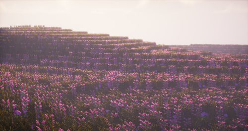 Lilac fields~Just decided to make something simple but colorful.