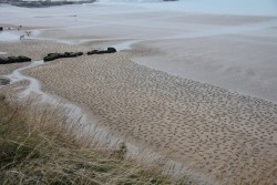 itscolossal:  9,000 Fallen Soldiers Etched into the Sand on Normandy Beach to Commemorate Peace Day