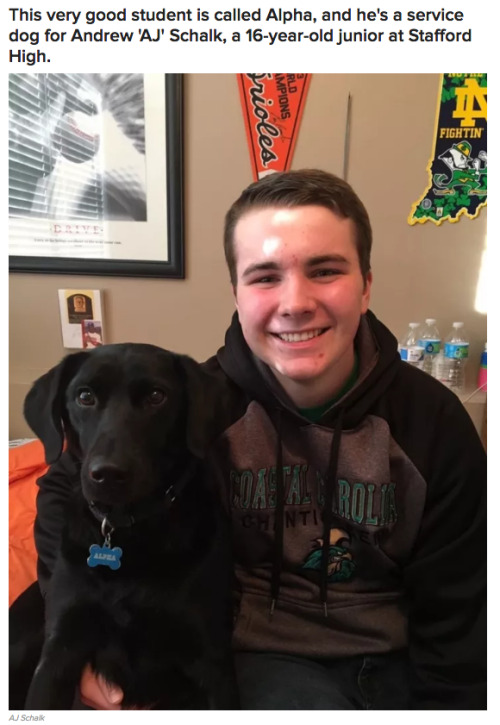 tsutachishio:  timidhedgie: buzzfeed:  A School Included This Teen’s Service Dog In The Yearbook And It’s The Purest Thing  THE WHOLE STORY GUYS   The dog looks so nervous in the school picture