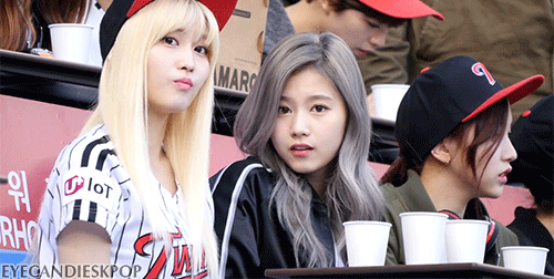 eyecandieskpop:  TWICE Momo and Sana