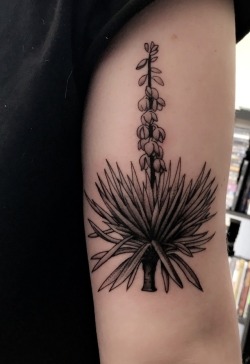 fuckyeahtattoos:  Yucca plant tattoo done by Ernie Smith at Port City Tattoo in Long Beach, CA.