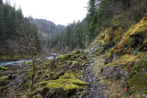 North Umpqua Trail - Mott Segment by Richard O'Neill