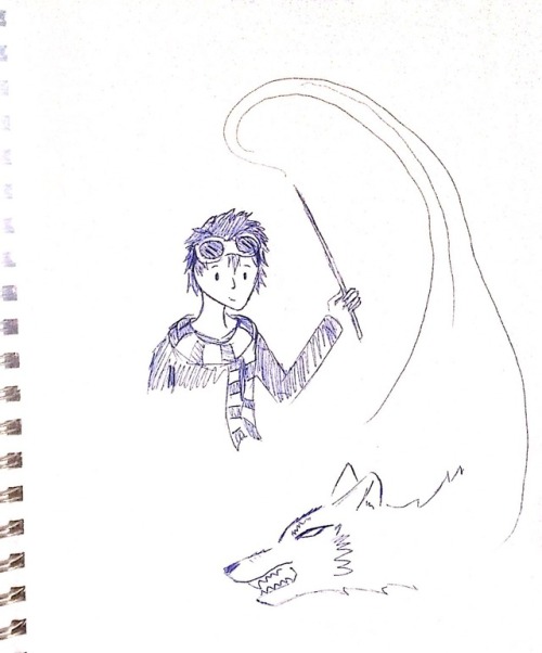 Day 8: 10k summoning his wolf patronus