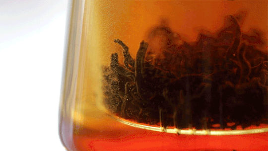 Tea Making - Part One