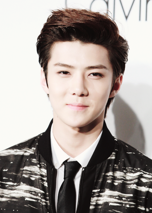 POSH - Prince Oh SeHun — WHY STAN OH SEHUN