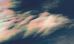 nubbsgalore:  photos of cloud iridescence — caused as light diffracts through tiny ice crystals or water droplets of uniform size, usually in lenticular clouds. (photos) 