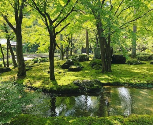 ＼おにわさん更新情報／ ‪[ 京都市北区 ] しょうざんリゾート京都庭園 Shozan Resort Garden, Kyoto の写真・記事を更新しました。 #本阿弥光悦 がかつて芸術村を開いた場所