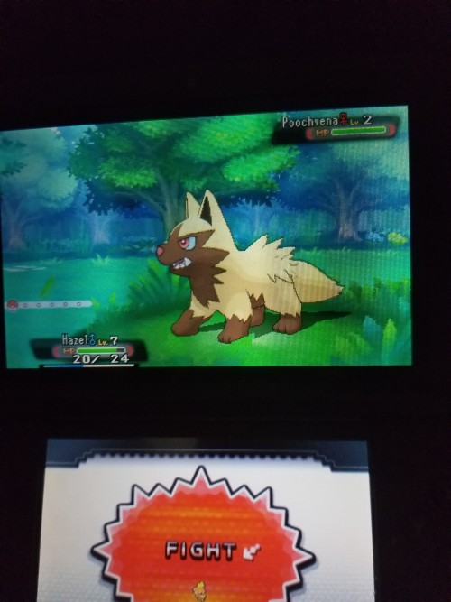Alpha Sapphire Is Evil. While Trying To Level Up My Torchic I Ran Into A Shiny Poochyena But Because