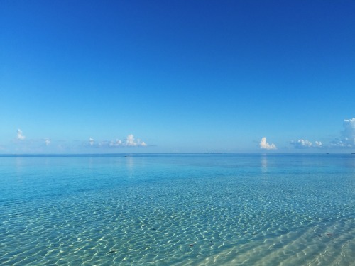 teafume:shades of transparent blue. maldives, summer 2015.