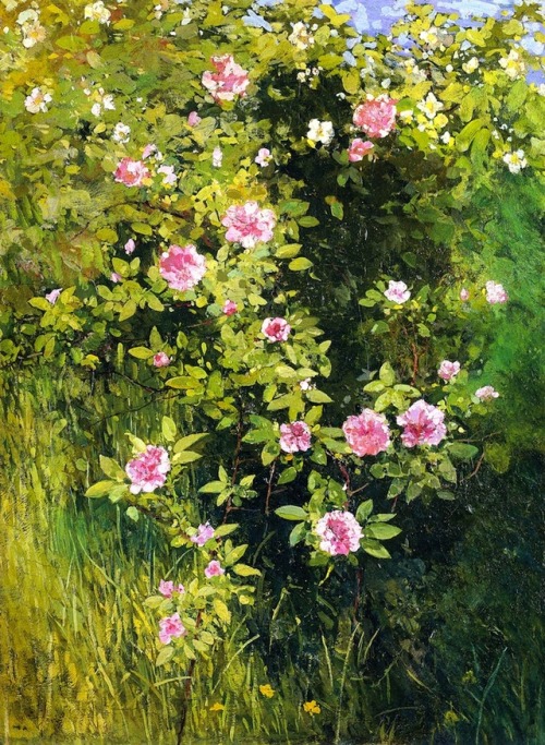 Rose Rambler   -     Ross Sterling Turner , 1907.American, 1847-1915Oil on canvas, 68.58  x  51.12 c