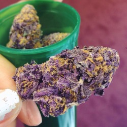 traceyyle:  That codeine kush 😍 