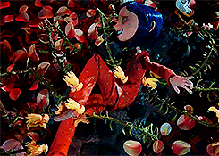   31 Days of Halloween Coraline (2009) &ldquo;You probably think this world is
