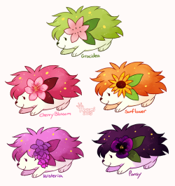 princessharumi:  My third set of Pokemon