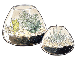 incaseyouart:Little watercolour terrariums! I want all of these and more in my house &lt;3&lt;3