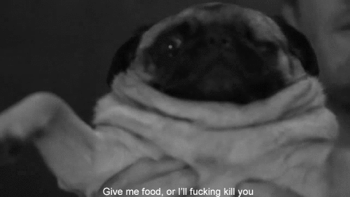 hi it me