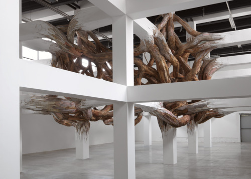 culturenlifestyle:  Twisted Tree Branch Installation by Henrique Oliveira Brazilian artist Henrique Oliveira’s installations often feature a spectacular presence of tree branches overpowering artifice. Titled Baitogogo, the sculpture  seems to be