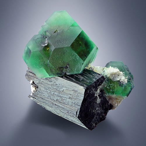 vugnasmineralblog:Fluorite On Tourmaline Var Schorl Davib East Farm, Karibib District, Erongo Region