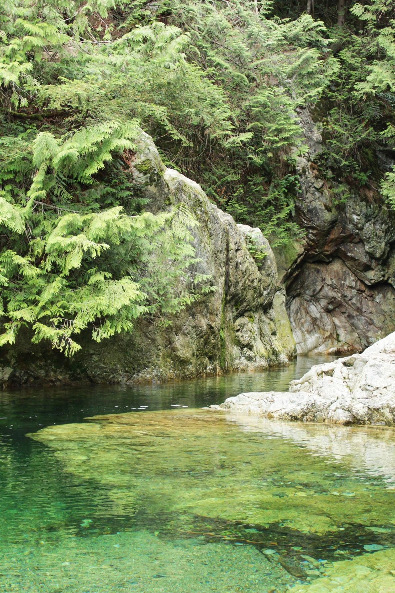 matchbox-mouse:  Calm water on the river.Lynn Canyon.