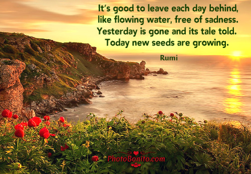 soul-to-souls: More Quotes Here: www.photobonito.com/inspirational-quotes.html  @livingmyflrdream he