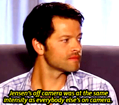 supermishamiga:  Misha’s face while Mark is talking about Jensen’s acting in