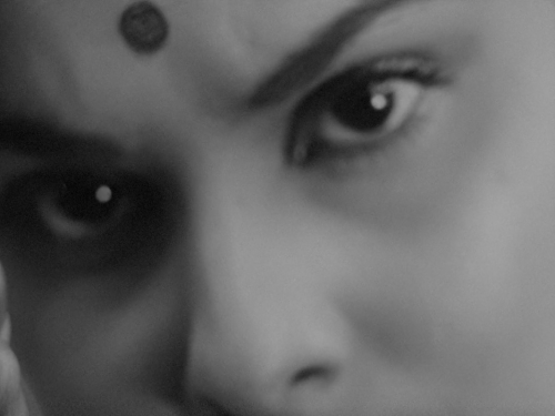 Charulata (1964, Satyajit Ray)