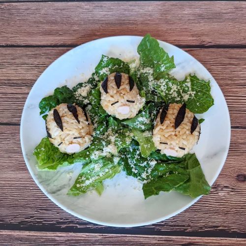 dem-spikey-bois:(Day 4) I made these adorable little Swinub rice balls! They are “fried” rice, nori,