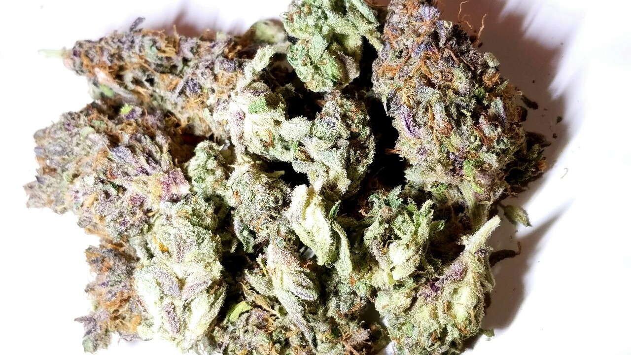 420stationusa:  Stay High And Check Out Our Store Here!!