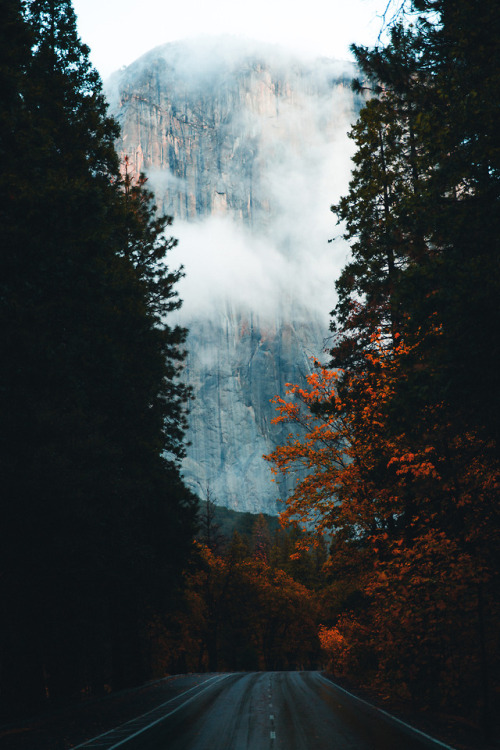 thecraziethewizard:Yosemite Valley, CAby Jeremiah Probodanu (IG: @thecraziethewizard)