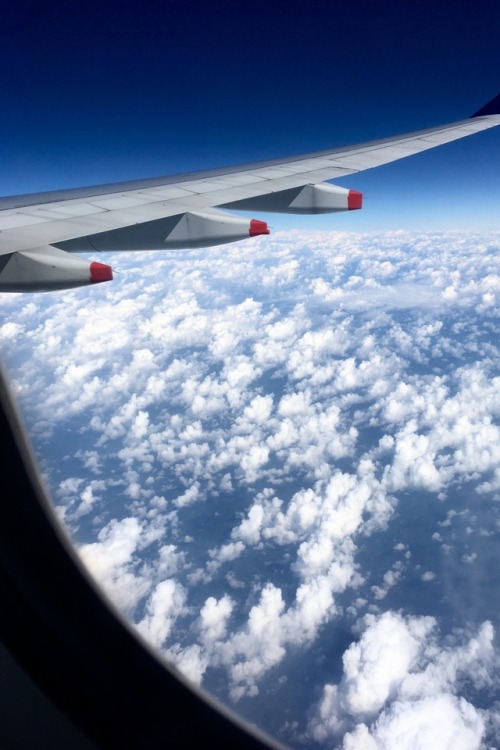 among clouds above chittagong | january 2018 Copyright © Daraus M. All rights reservedfind me on Ins