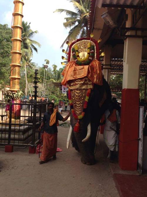 Devi procession at Kerala temple