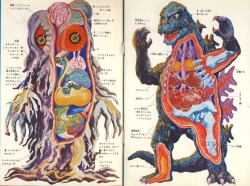 weirdlandtv:Godzilla & Hedorah.I always find these anatomical illustrations pretty gross honestly. And yet I never doubt if I should feature them here on my blog.