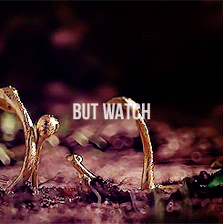kadywicker: You could be the King…