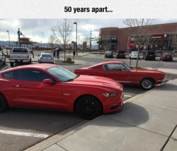 lolshtus:  Mustang, Then And Now