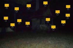 spork:  the-best-dang-avocado:  sixpenceee:  The age detection app was used on a photo of an abandoned house.     and the young ones are on the steps…