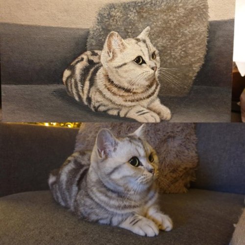 catsbeaversandducks:“My Girlfriend’s 85 year old client asked if he could paint our cat. I think he 