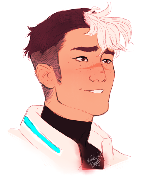 mypabulousscarf: first time drawin the voltron fam