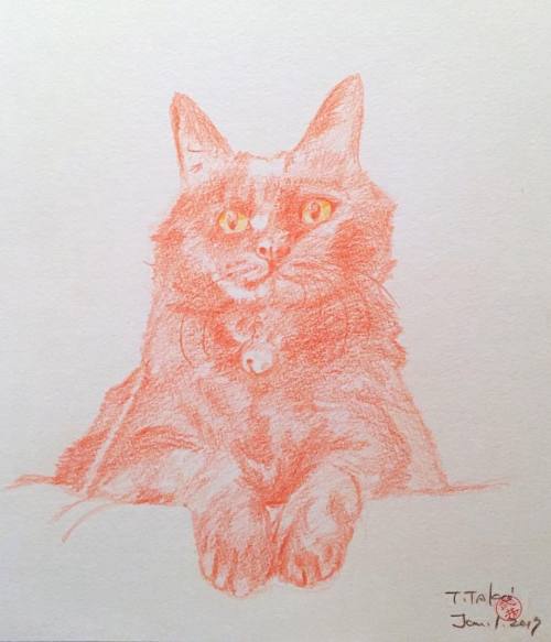 2017年1月スケジュール扉絵 #cat #pencildrawing #drawing