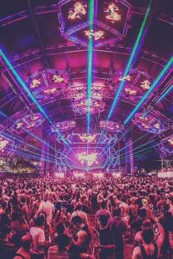 raverampage:  A S T A T E O F T R A N C E  Ultra 2014, Miami, FL