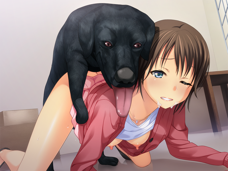 kitty-kat-girl:  One of the many tasks I had to do is keep the more troubled and