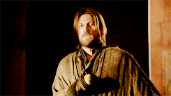 lady-arryn-deactivated20140718:  zsnap-holmes requested: jaime lannister + warm colours