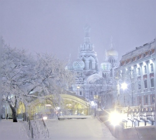 Porn photo  Winter in Saint-Petersburg 