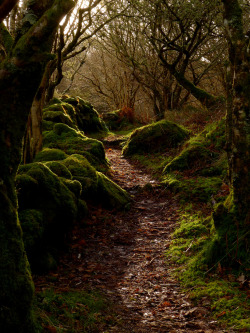 lori-rocks:  Hobbit Country…. by  howbeg 