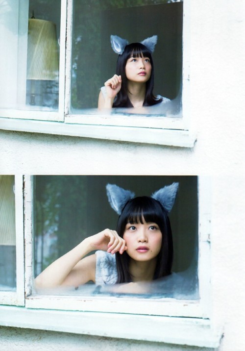 maimai