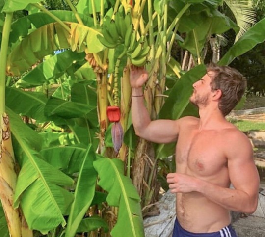 man-and-structure:  boyswithplants