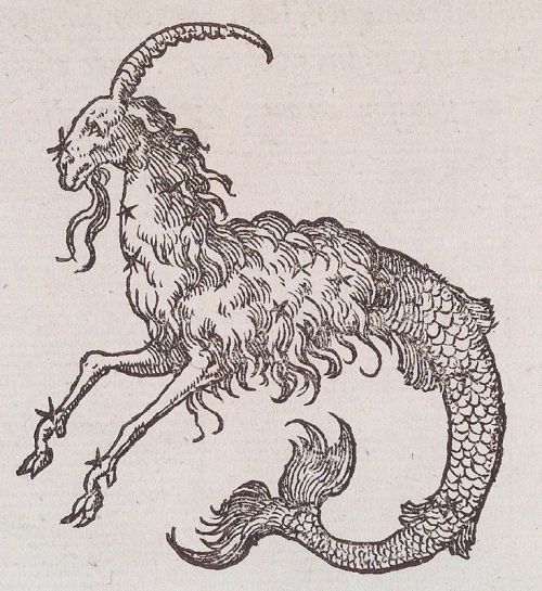 neon-casket:  capricorn woodblock print from devises heroïques - claude paradin chanoine de beaujeu 