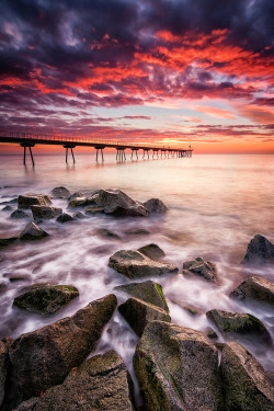 madishy:  Pont del Petroli IV by Lluis de Haro Sanchez   