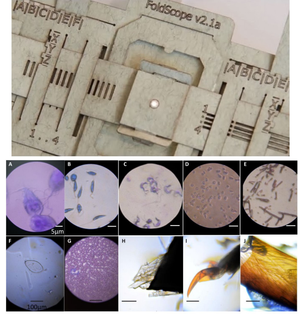 Paper Microscope that costs less than a dollar by Stanford scientists
Stanford scientists have developed a paper microscope called FoldScope that, unbelievably, costs less than a buck.