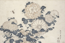 tierradentro:  “Bee and Chrysanthemums”,
