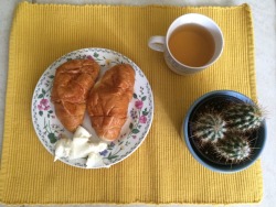 leaficle:  late snack with my plant buddy and cool art cup!! 🐝🌵 