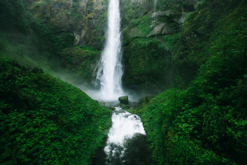 cdelehanty:Multnomah Falls, Columbia River Gorge